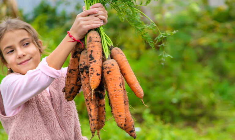 Labor of Love: Building and Sustaining Your Farming Business 4