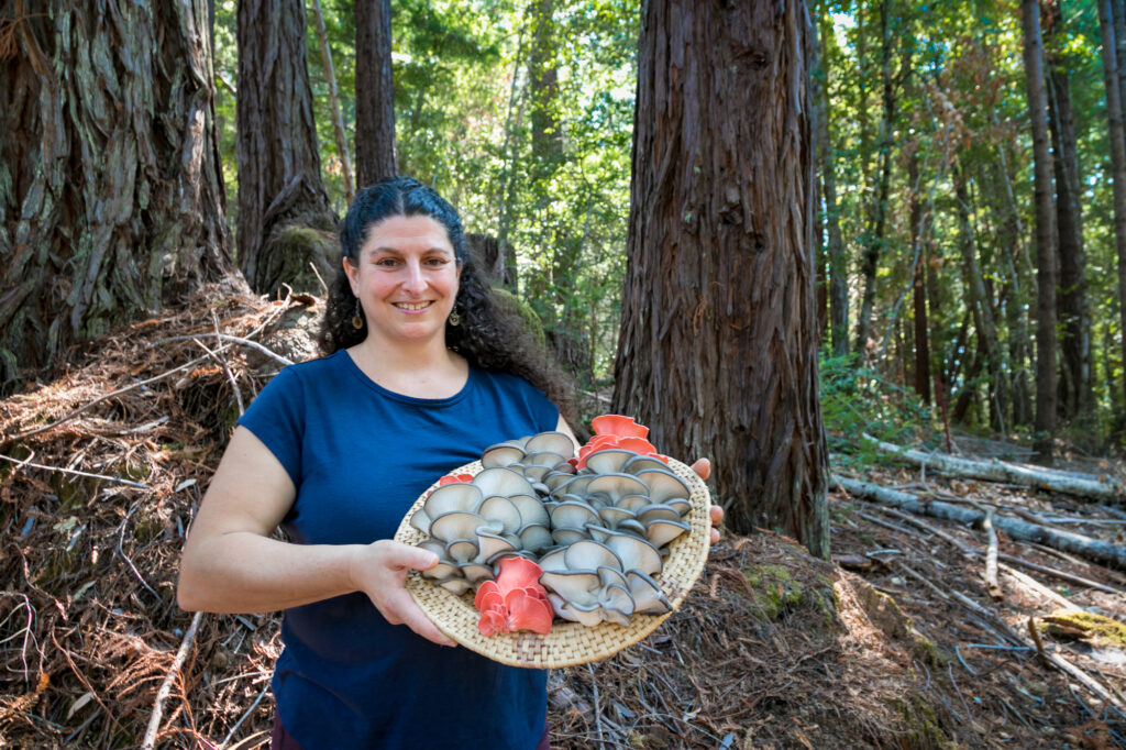 Lama with a basket of mushrooms