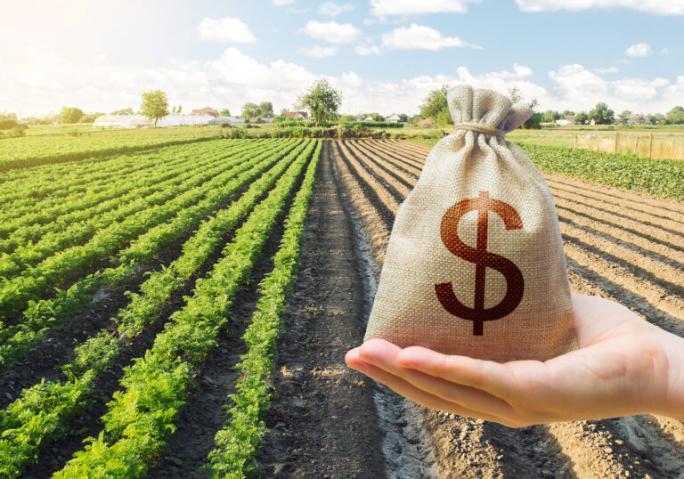 Field of crops with hand holding bag with dollar