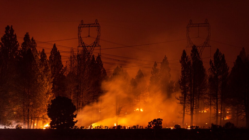 The Important Stuff: What to Do When Disaster Strikes